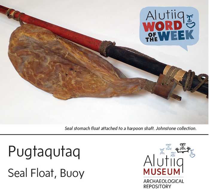 Seal Float-Alutiiq Word of the Week-April 25th