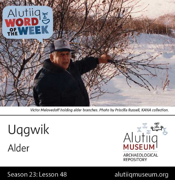 Alder-Alutiiq Word of the Week-May 23rd