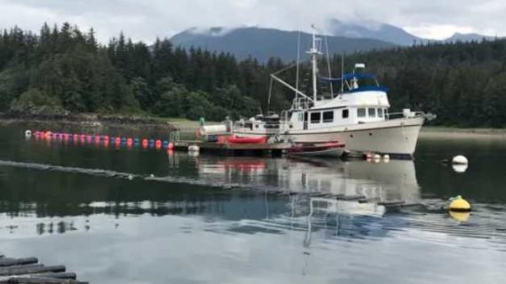 New tools will help prospective businesses navigate aquaculture permitting