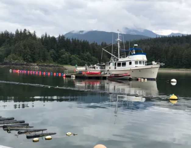 New tools will help prospective businesses navigate aquaculture permitting