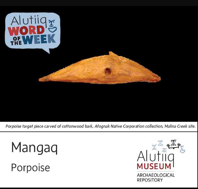 Porpoise-Alutiiq Word of the Week-May 30th