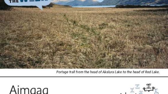 Portage-Alutiiq Word of the Week-June 6th
