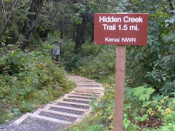 Two Campers Injured in Hidden Creek Bear Attack Saturday