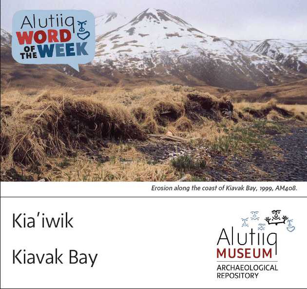 Kiavak Bay-Alutiiq Word of the Week-July 11