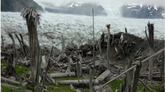 Visit to glacier begins with wildlife encounter