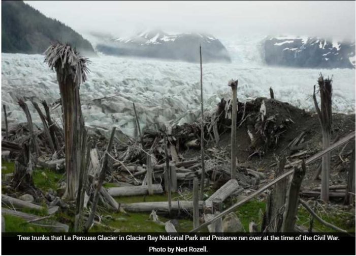 Visit to glacier begins with wildlife encounter