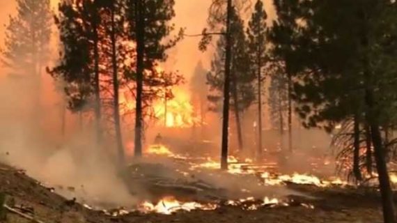 Oregon’s Growing Bootleg Fire is One of 70 Now Raging in US West, Where Another Heatwave Looms