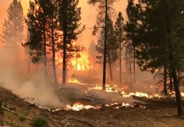 Oregon’s Growing Bootleg Fire is One of 70 Now Raging in US West, Where Another Heatwave Looms