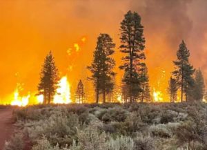 The Bootleg Fire burns on July 12, 2021 in Bly, Oregon. (Photo: USDA Forest Service)