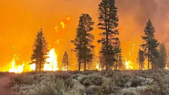 Bootleg Fire Has Burned Over 364,000 Acres and Is Making Its Own Weather
