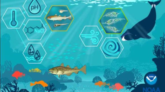Predicting Future Fish Productivity by Better Understanding the Role of Habitat in the Life of a Fish