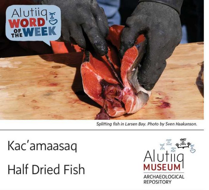 Half-Dried Fish-Alutiiq Word of the Week-August 15th