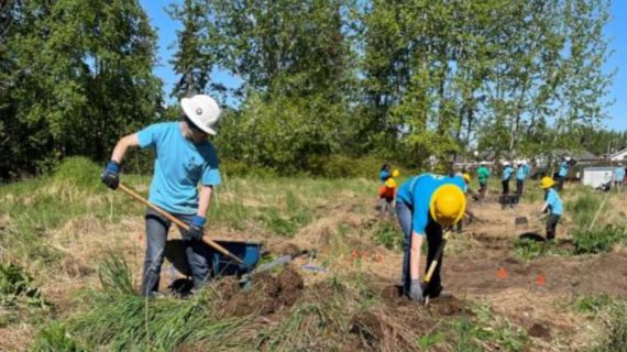 Healthy Fish Need Healthy Forests: Restoring Forest Health After Spruce Bark Beetle Kill