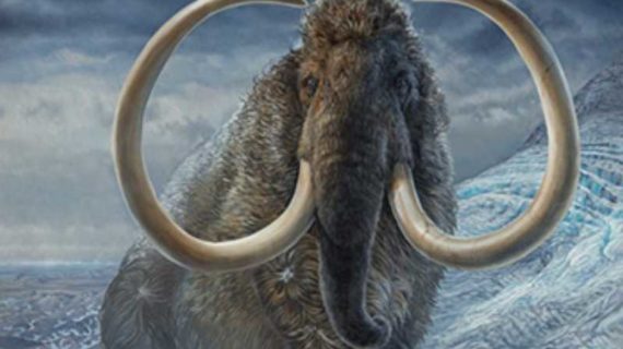 Study takes unprecedented peek into life of 17,000-year-old mammoth
