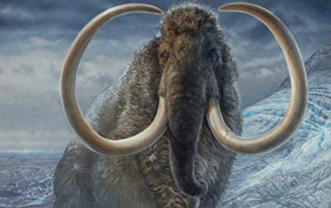 An adult male woolly mammoth navigates a mountain pass in Arctic Alaska, 17,100 years ago. Credit: James Havens