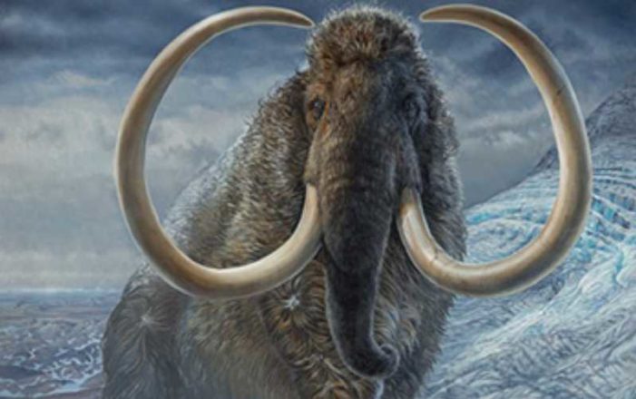 Study takes unprecedented peek into life of 17,000-year-old mammoth