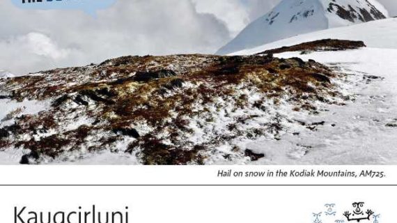 To Hail-Alutiiq Word of the Week-August 29th