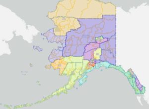 State House Plan. Image-Alaska Redistricting Board