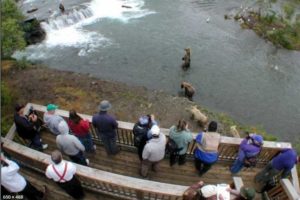 Bear viewers on the Brooks Falls viewing platform. Image-National Park Service