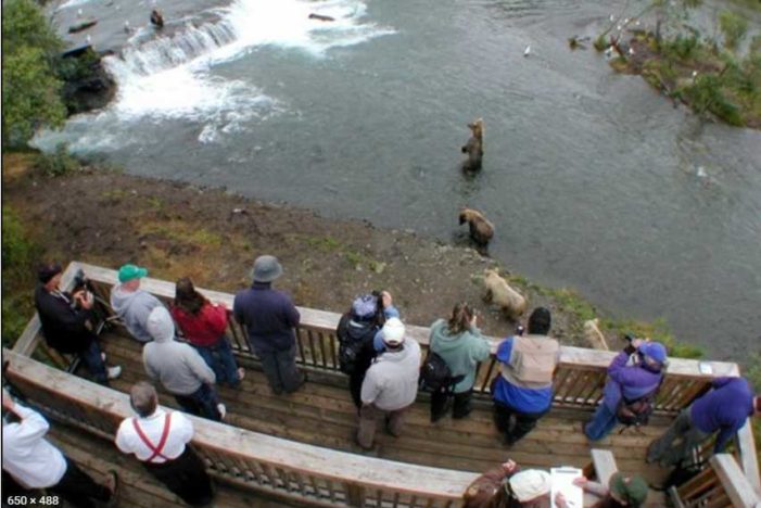 Three Men Charged for Illegally Leaving the Brooks Falls Viewing Platform and Wading into the Brooks River