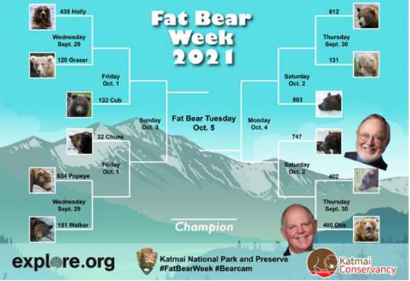 Congressmen Don Young and Tom O’Halleran Initiate Bipartisan Fat Bear Week Bet