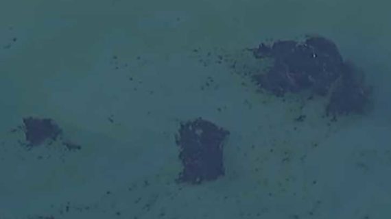 Residents Critical of Slow Response to California Oil Spill