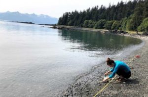 University of Alaska-Southeast graduate student Muriel Walatka gathers samples of beach sand to examine for at the Auke Recreational area in Juneau. Photo courtesy of Sonia Nagorski