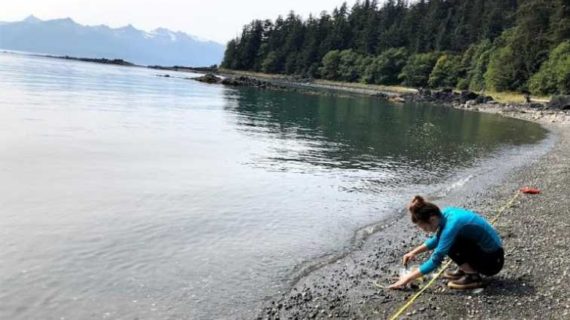 Plastic in the rain of Southeast Alaska