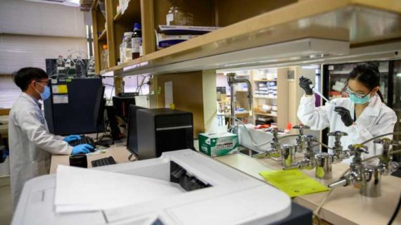 Unpatented Shot Dubbed ‘The World’s Covid-19 Vaccine’ Wins Emergency Approval in India