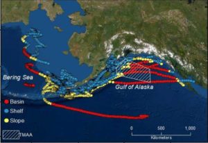 Areas of 2021 Northern Edge exercises. Image-North Pacific Fishery Management Council