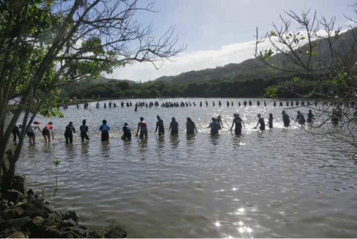 Regional partnership sparks collaboration to advance Indigenous aquaculture practices