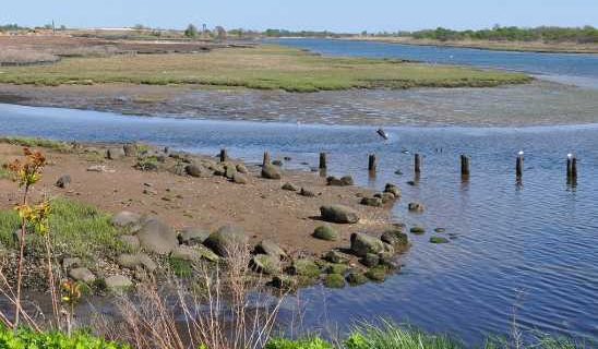 Governor Dunleavy Challenges New WOTUS Definition