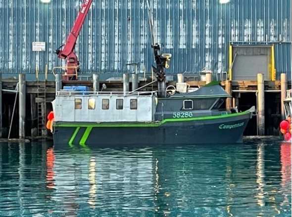 Coast Guard discovers illegal halibut catch near Kodiak