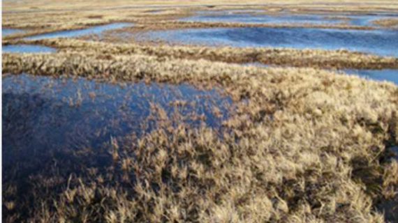 Monitoring Arctic permafrost with satellites, supercomputers and deep learning