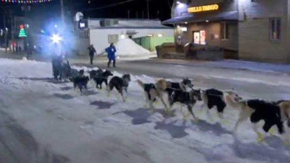 Brent Sass wins his first Iditarod championship in 50th anniversary year