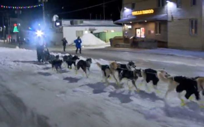 Brent Sass wins his first Iditarod championship in 50th anniversary year
