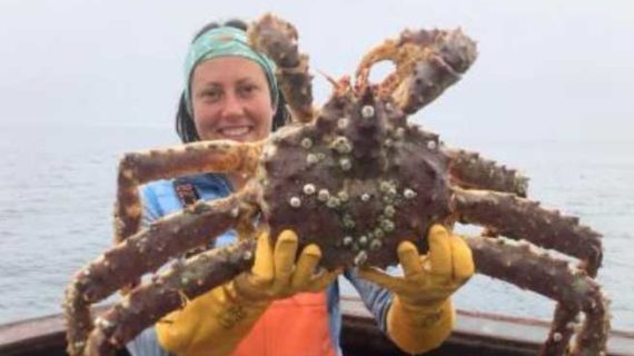 Erin Fedewa Tackles Snow Crab Climate Change Mysteries And Growing Up Immersed In Science Through Rural Life