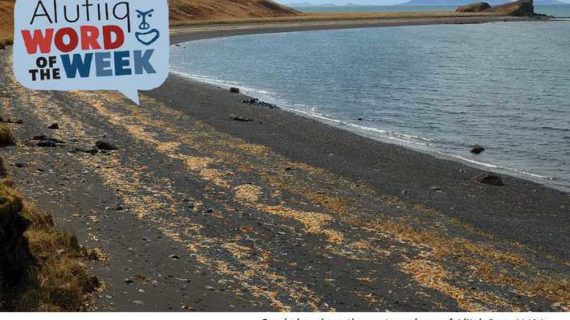 Sand-Alutiiq Word of the Week-April 17