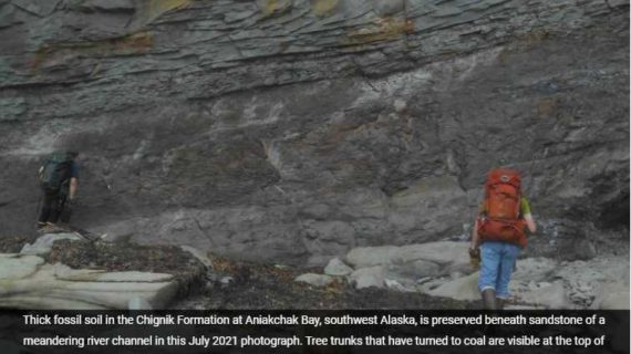 Precipitation Helped Drive Distribution of Alaska Dinosaurs Precipitation Helped Drive Distribution of Alaska Dinosaurs