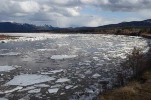 The Yukon River flows down from the Canadian portion of the river about 24 hours after the river broke up in front of Eagle the first community on the U.S. side of the border. Image-Ned Rozell