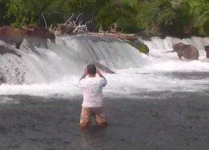 David Engleman was captured on the live cam at Brooks Falls. Image-National Park Service