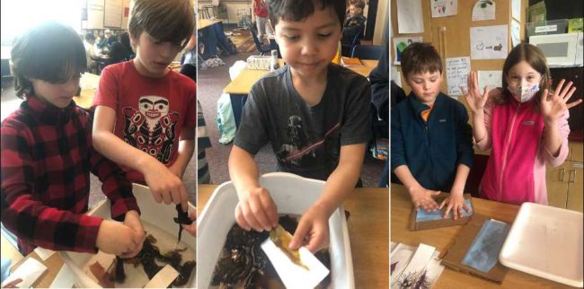 Students working with dulse in the classroom. Credit: NOAA Fisheries
