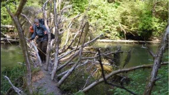 Rugged Science on the Southeast Coast