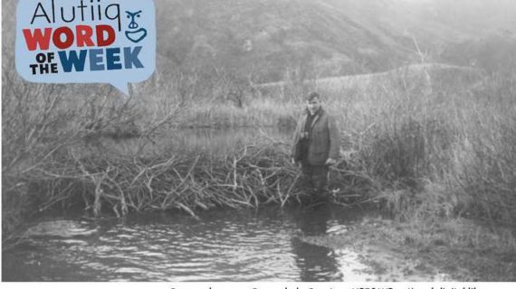 Beaver-Alutiiq Word of the Week-July 10