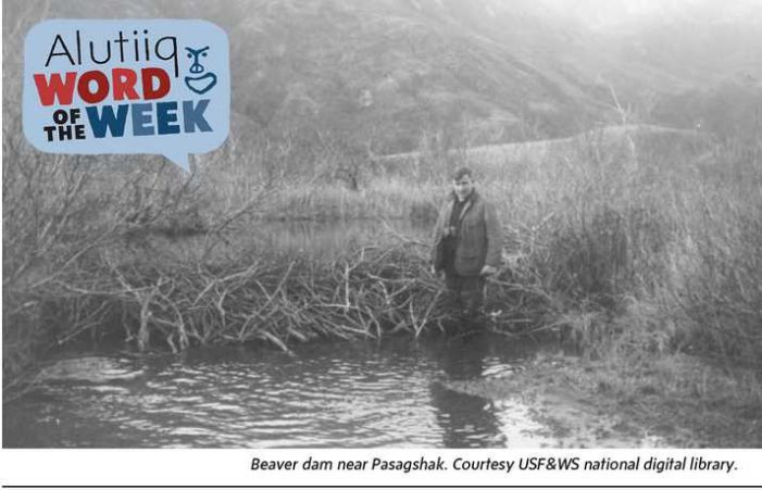 Beaver-Alutiiq Word of the Week-July 10