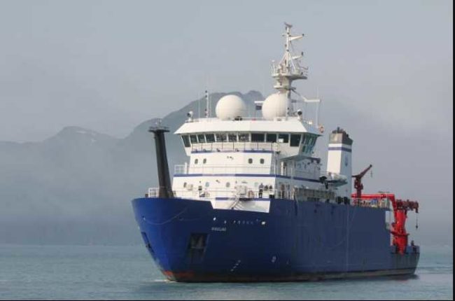The research vessel Sikuliaq sails in Alaska's Resurrection Bay in July 2020. The ship is homeported in Seward. The University of Alaska Fairbanks College of Fisheries and Ocean Sciences operates the Sikuliaq. The National Science Foundation owns the ship. Photo by Sarah Spanos