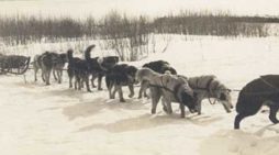 This Day in Alaska History-July 30th, 1921