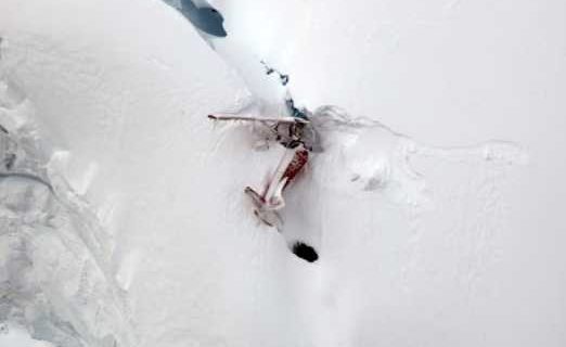 This Day in Alaska History-August 4th, 2018