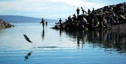 Nick Dudiak Fishing Lagoon Open to Snagging on August 16