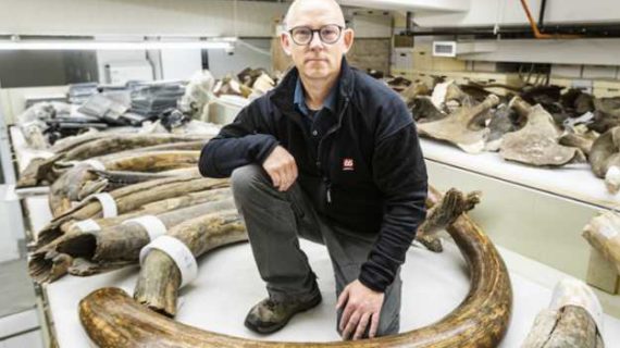 Adopt a woolly mammoth and win!